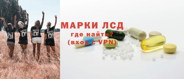 твердый Арсеньев