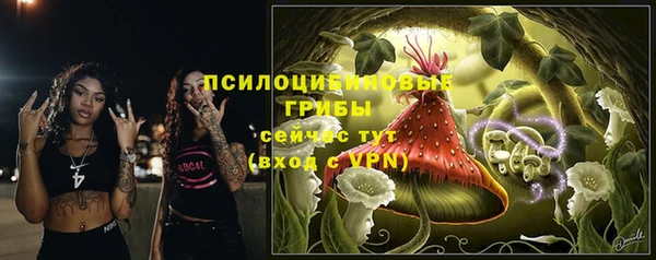 амф Балахна